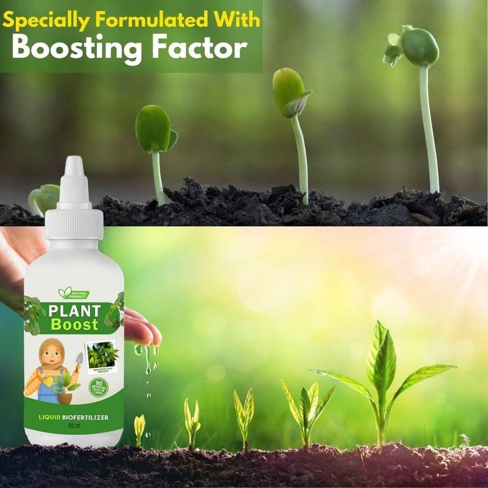 Plant Care Combo Set With Free Gifts!
