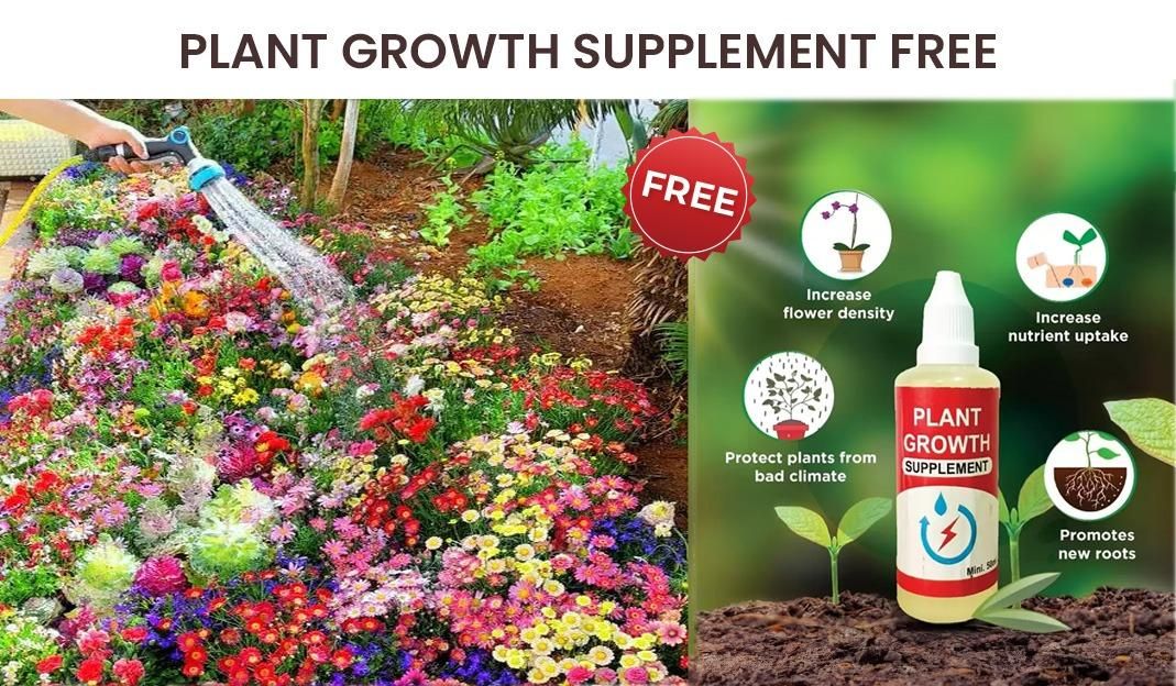 Buy Varieties of Flower Seeds (Pack of 100) And Get Plant Growth Supplement Free Gift