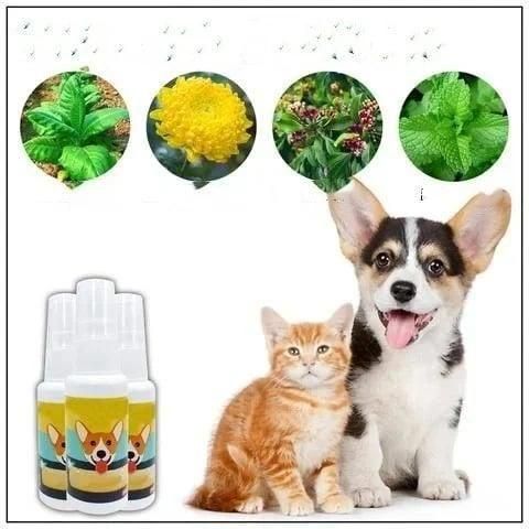 Natural Potty Training Spary for Dog & Cat 30ml (Buy 1 Get 1 Free Offer)
