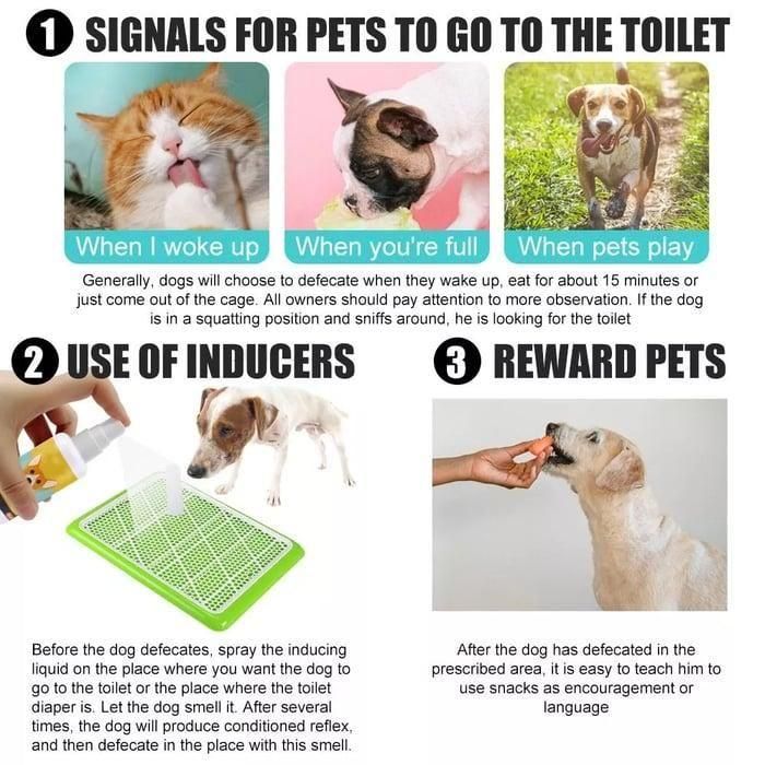 Natural Potty Training Spary for Dog & Cat 30ml (Buy 1 Get 1 Free Offer)