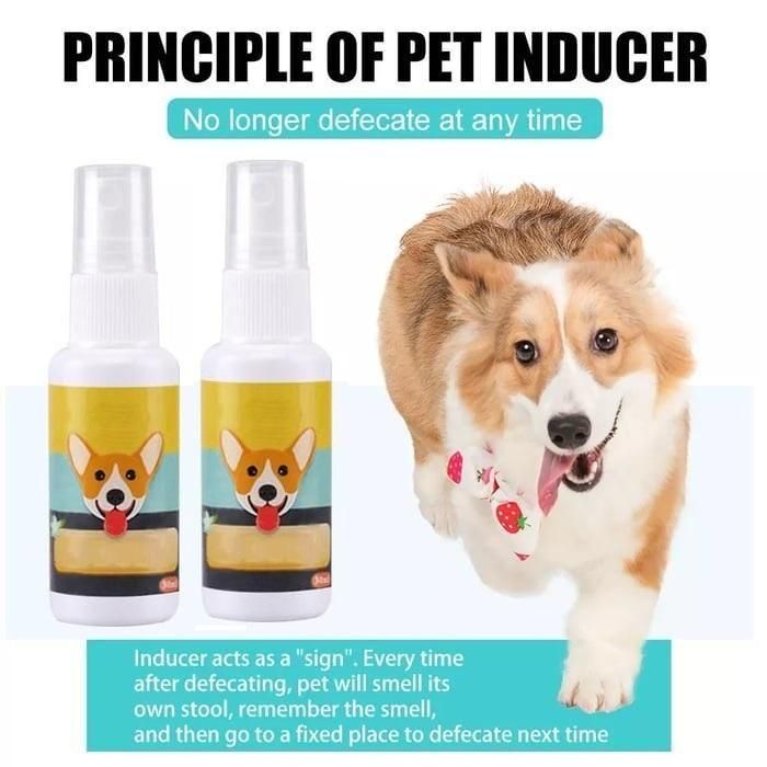 Natural Potty Training Spary for Dog & Cat 30ml (Buy 1 Get 1 Free Offer)