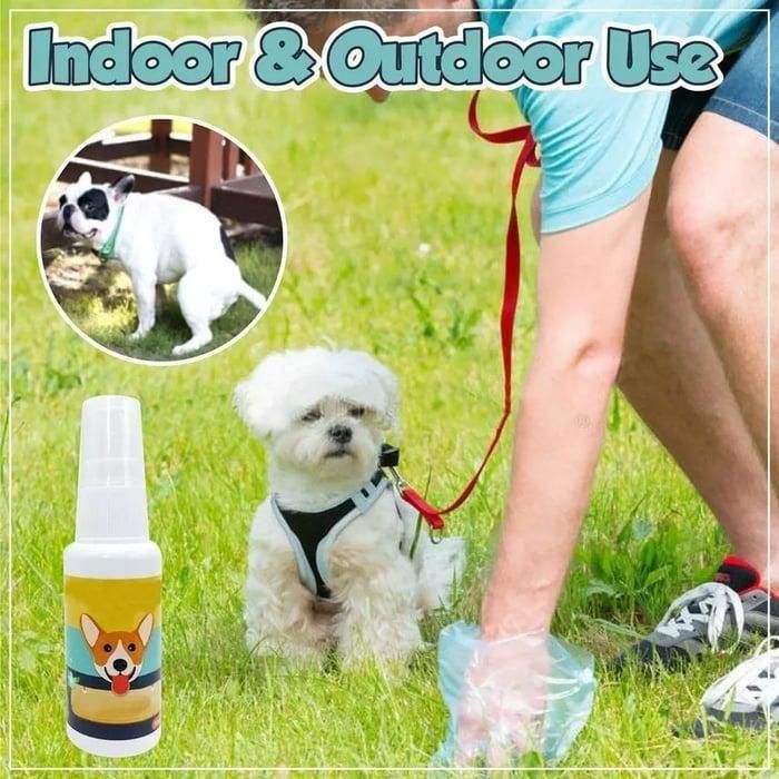 Natural Potty Training Spary for Dog & Cat 30ml (Buy 1 Get 1 Free Offer)