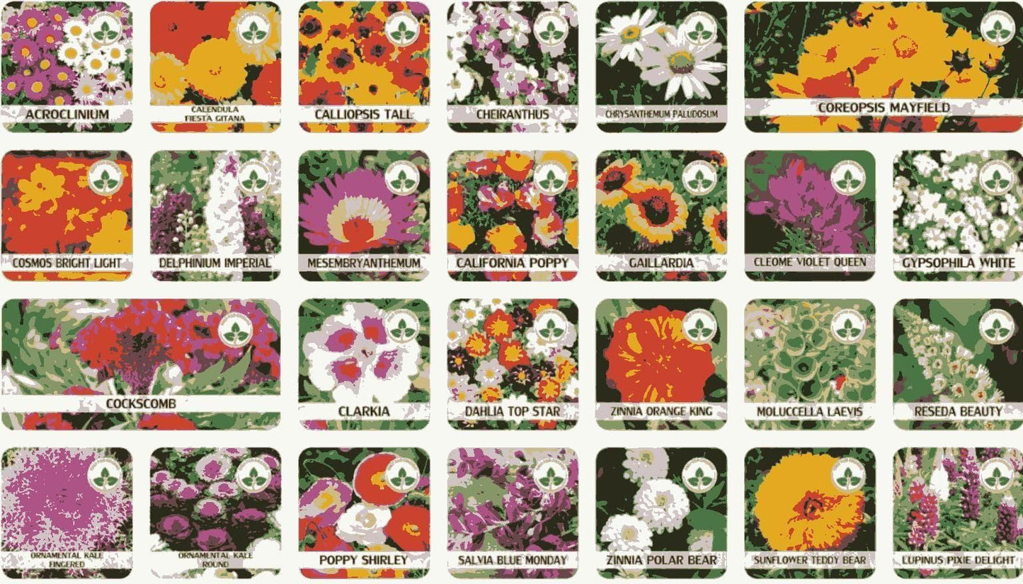 Buy Varieties of Flower Seeds (Pack of 100) And Get Plant Growth Supplement Free Gift