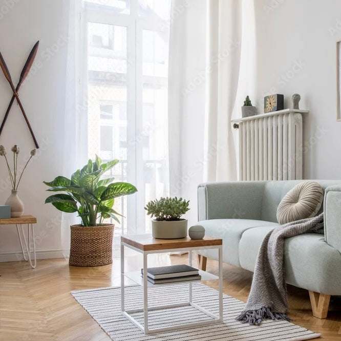 Home & Lifestyle